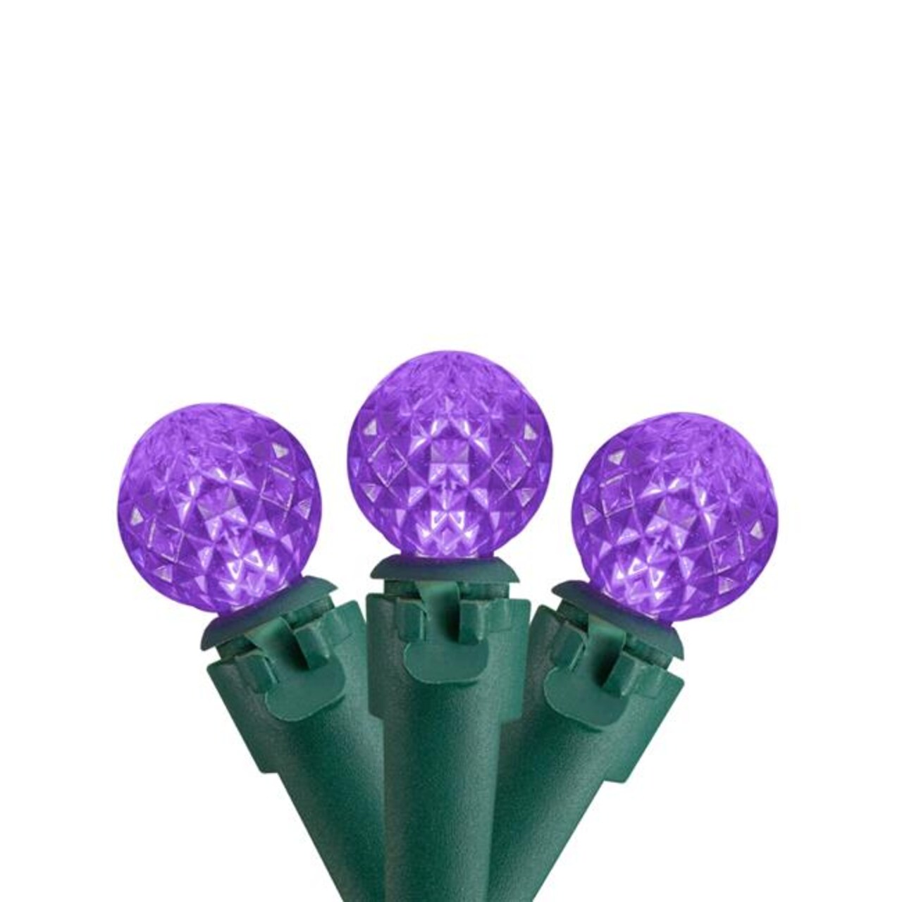 Northlight 34619176 15.9 ft. LED G12 Berry Christmas Lights with Green Wire, Purple - 50 Count